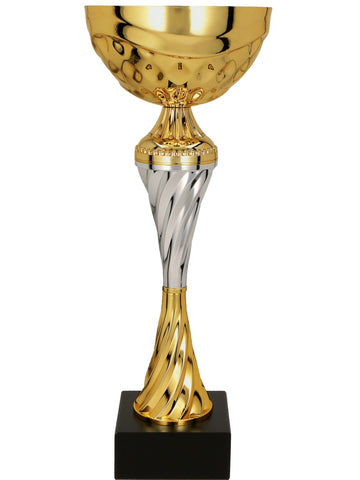 Gold color Raja cup